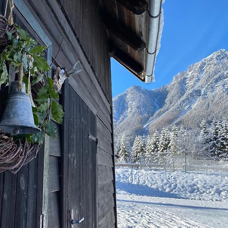 Chalet Am Weissenbach Hinterstoder Exterior foto